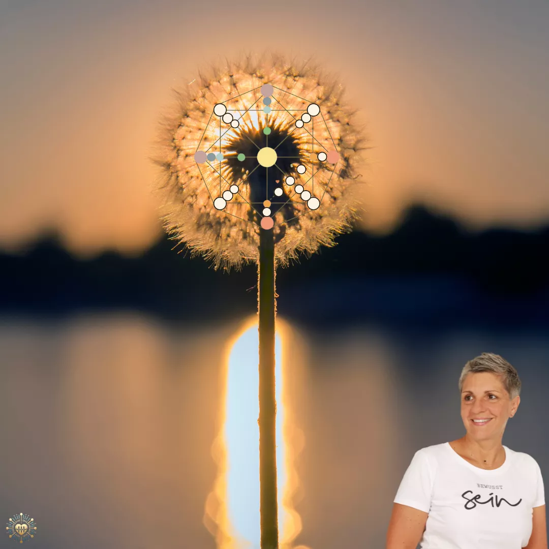 Nordstern - Schicksalsmatrix - Berufung